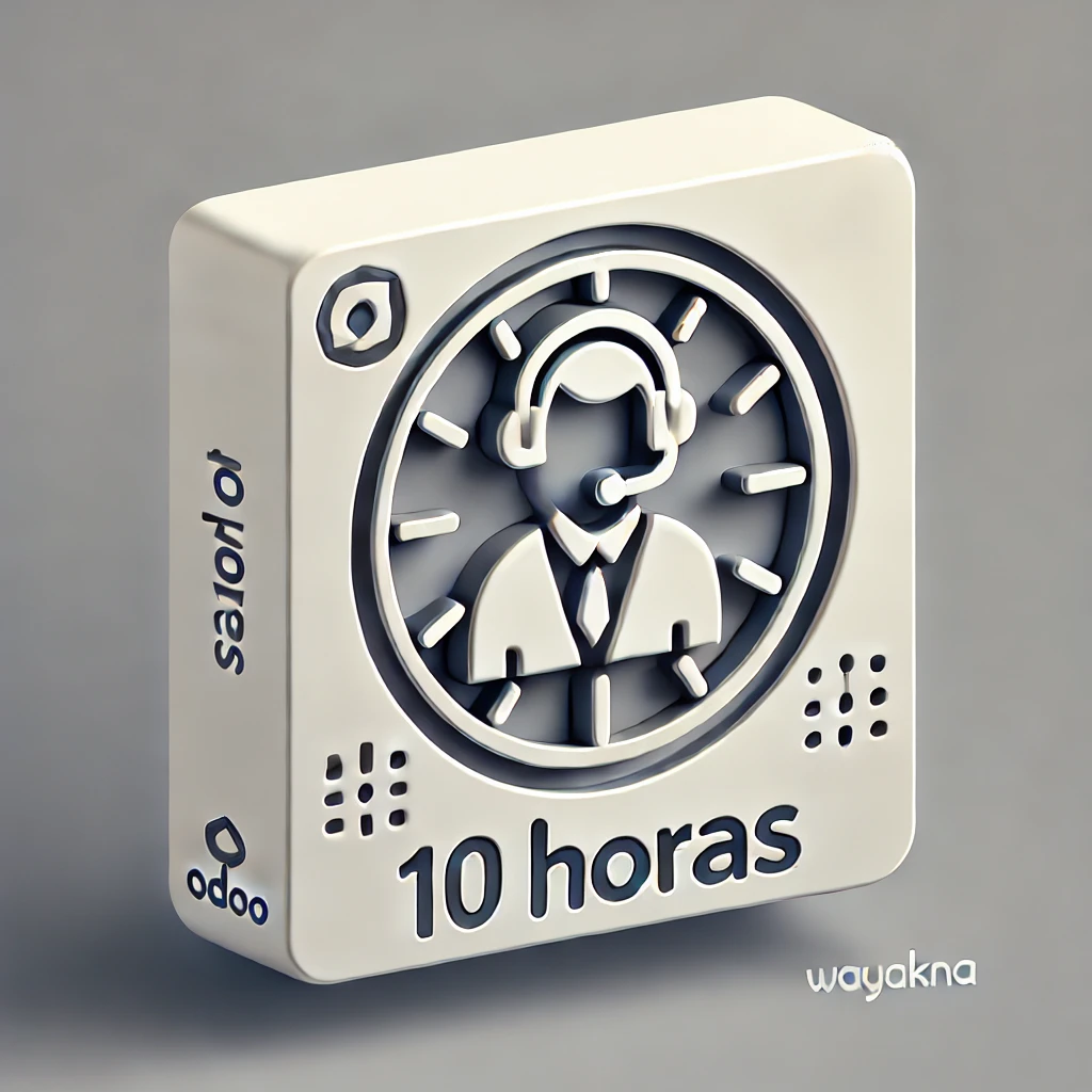 Path Plan - Package of 10 hours Odoo functional or technical consulting