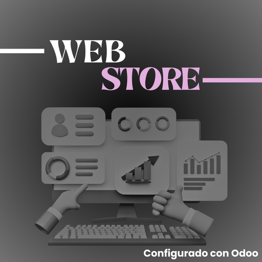 Paquete WEB STORE 